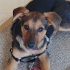 Meet your Posher, Kim